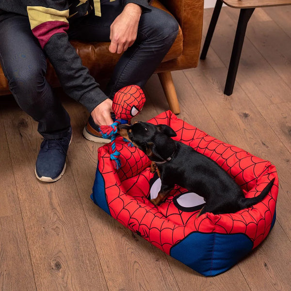 Cama para perros - Spiderman