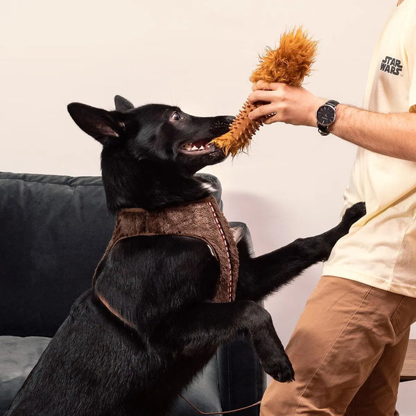 Mordedor para perros - Chewbacca Star Wars