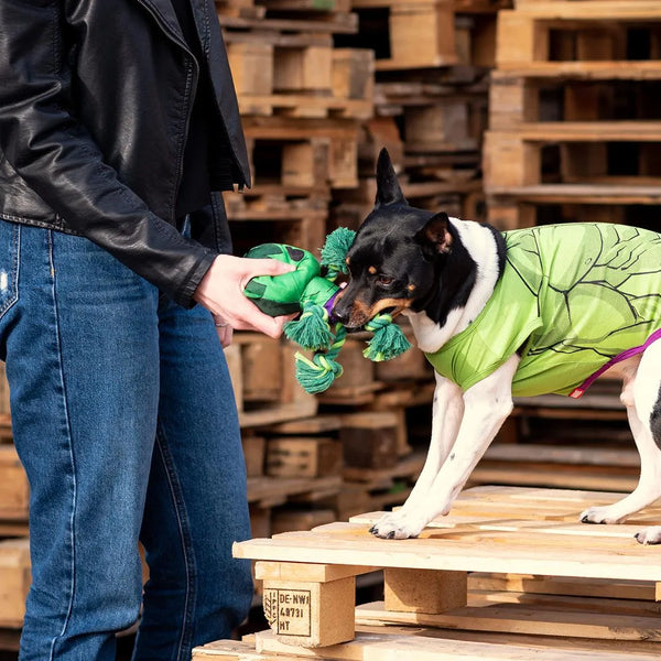 Cuerda dental para perros - Hulk Marvel