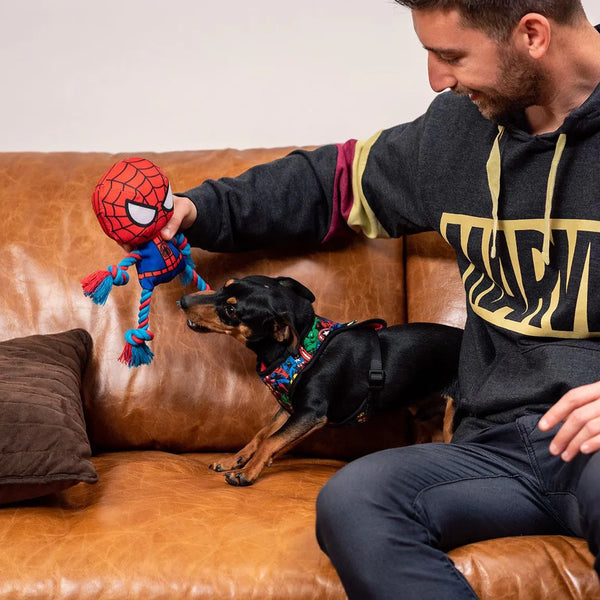 Cuerda dental para perros - Spiderman