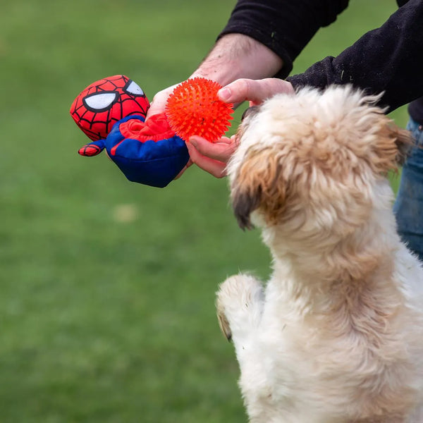 Peluche pelota para perros - Spiderman