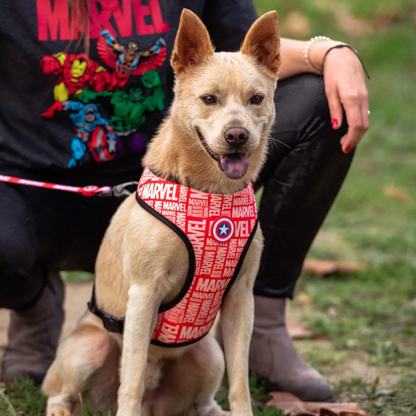 Arnés Reversible para Perros - Marvel | Ajustable en Abdomen