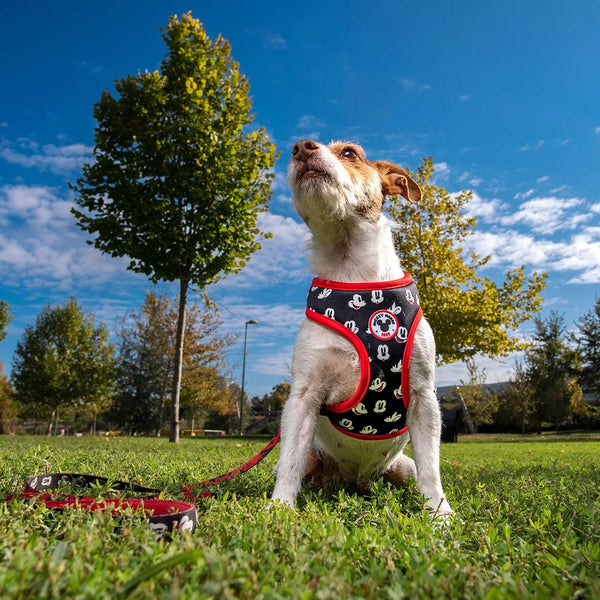 Arnés Reversible para Perros - Mickey | Ajustable en Abdomen