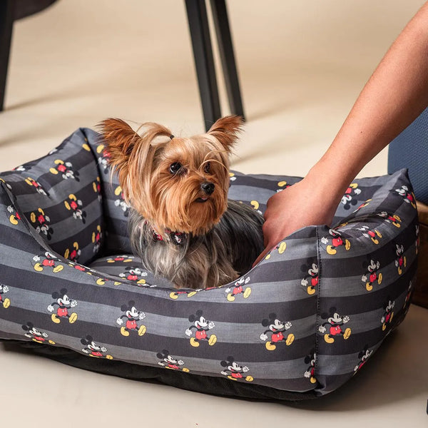 Cama para perros - Mickey