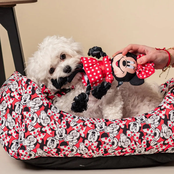 Cuerda dental para perros - Minnie