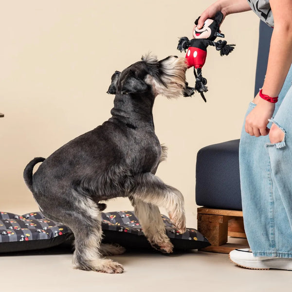 Cuerda dental para perros - Mickey