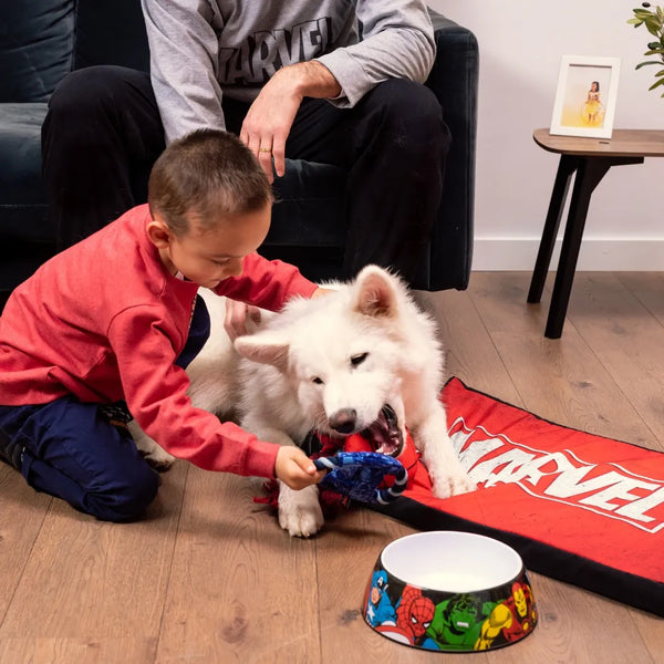 Cama colchoneta para perros - Marvel