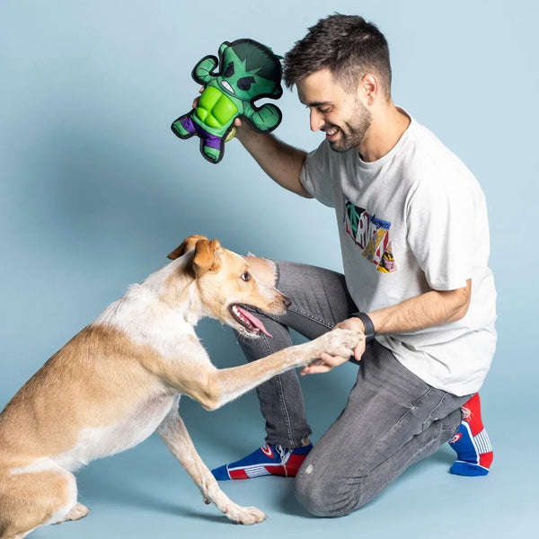 Juguete para perros - Hulk Marvel