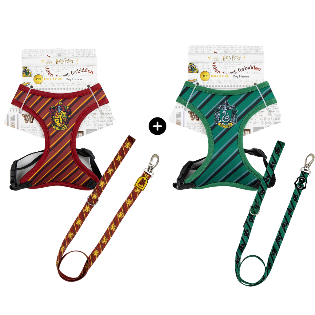 Pack Exclusivo Harry Potter - Gryffindor & Slytherin