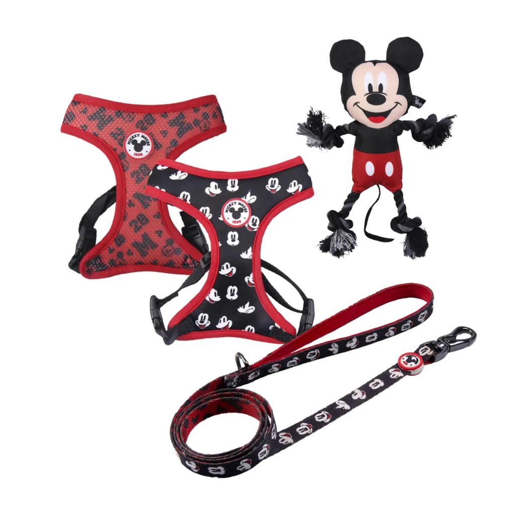 Pack Héroe Supremo - Mickey