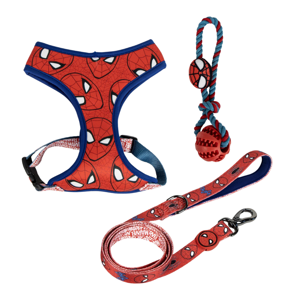 Pack Completo con Juguete - Spiderman