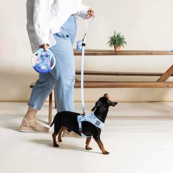 Correa Premium para perros - Stitch