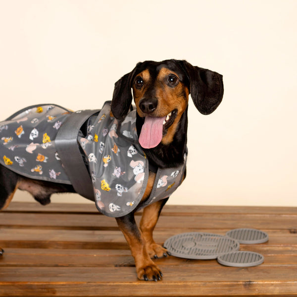 Impermeable transpirable para perros pequeños XS/S - Disney